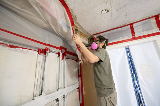 Best Residential Mold Inspection & Testing  in Richnd Heights, MO